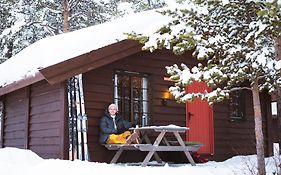 Sjodalen Hyttetun og Camping